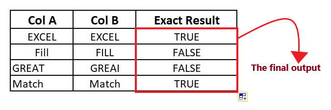 Excel Exact Function